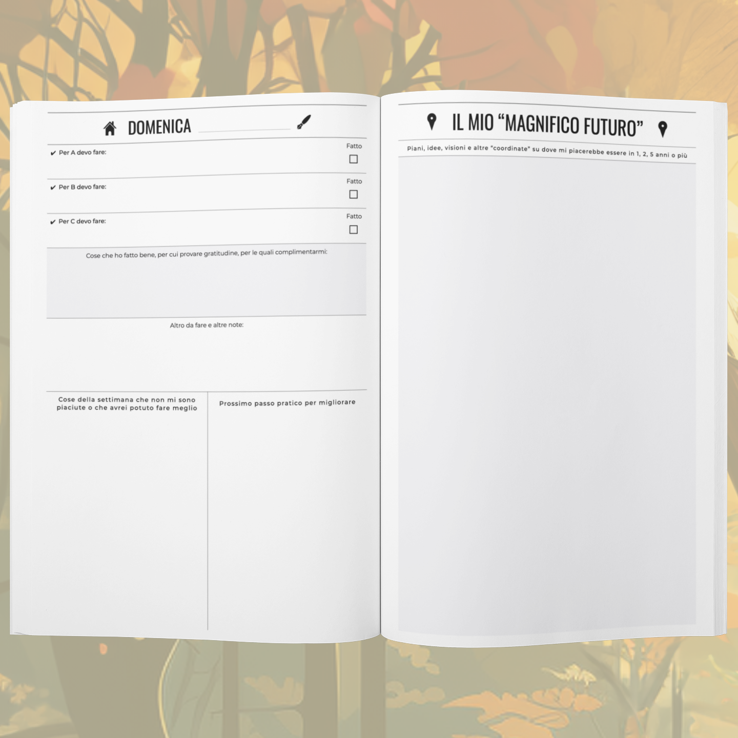 Quaderno dell'AUTOSTIMA, per insoddisfatti cronici (e non)